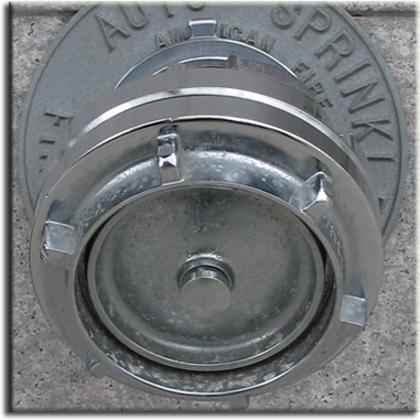 Logo de SeriliqueDesign